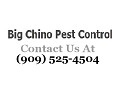 Big Chino Pest Control