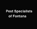 Pest Specialists of Fontana